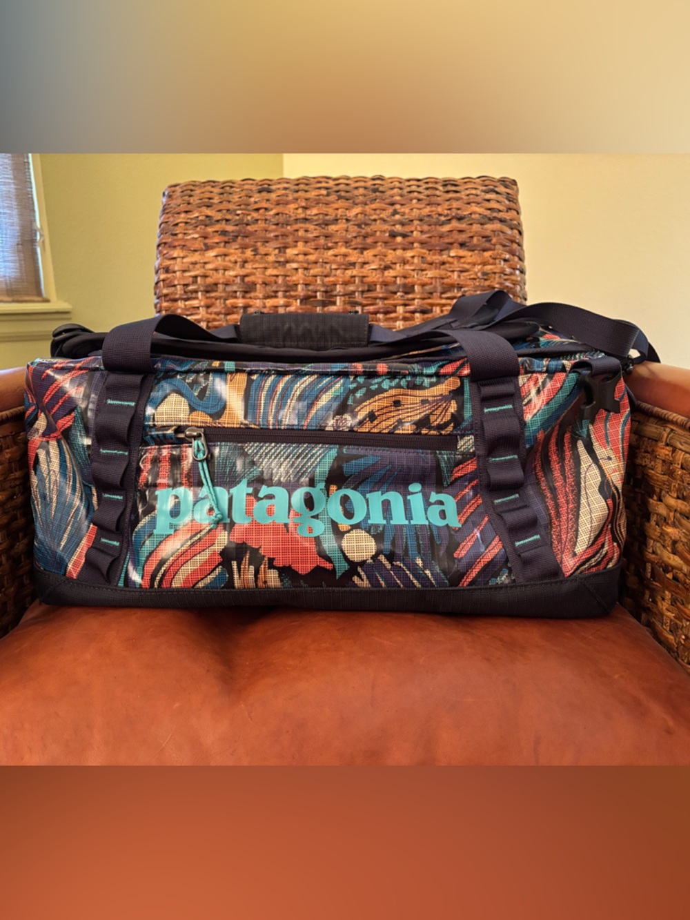 Patagonia Black Hole duffel backpack 45l carry on